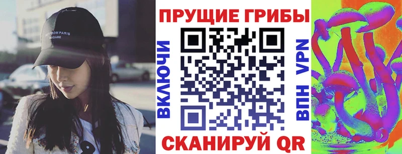 наркотики  Юрьев-Польский  Псилоцибиновые грибы прущие грибы 