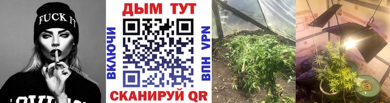 Марихуана ГИДРОПОН  где можно купить   hydra онион  Юрьев-Польский 